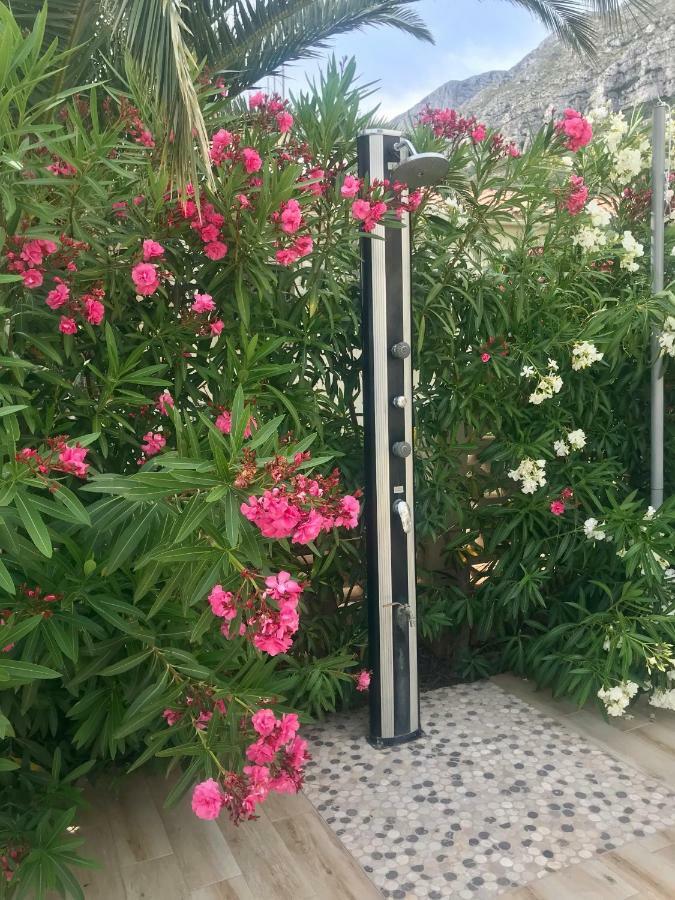 Villa Denia Costa Blanca 外观 照片